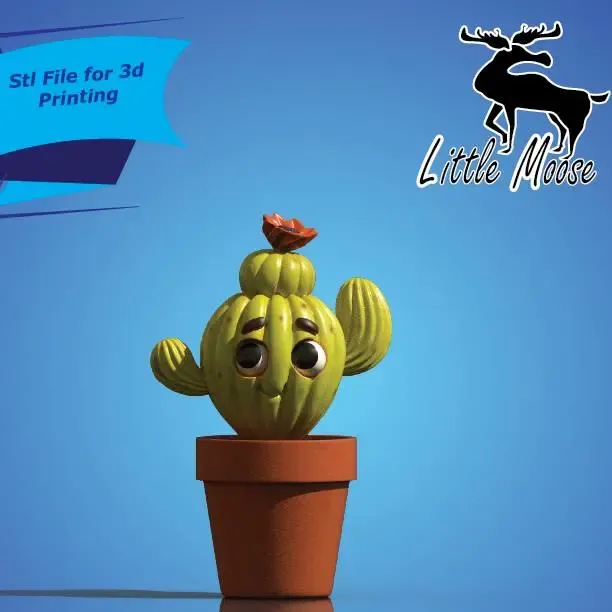 Sunny Cactus