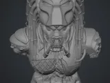 jungle predator bust -2