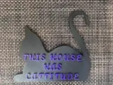 Cattitude!-1
