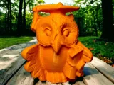 Owl diploma-1