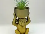 Monkey pot with two drainage holes for water-0