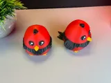 Cute Bird-8