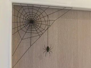 Halloween Spider Web decoration