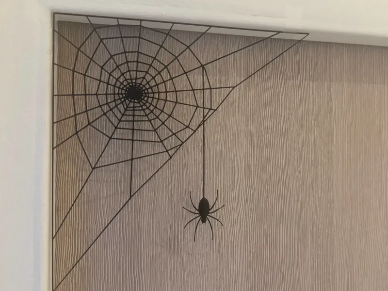 Halloween Spider Web decoration