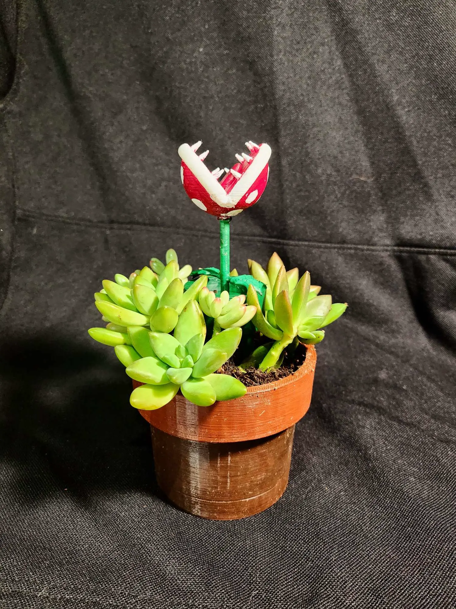 Piranha Plant Pot