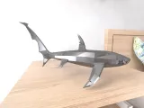 Shark Lowpoly Low poly-0