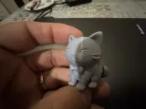 Cute Cat 🙀-1
