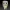 Funko Ardilla - BTS