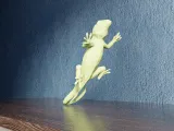 Low Poly Lizard-5