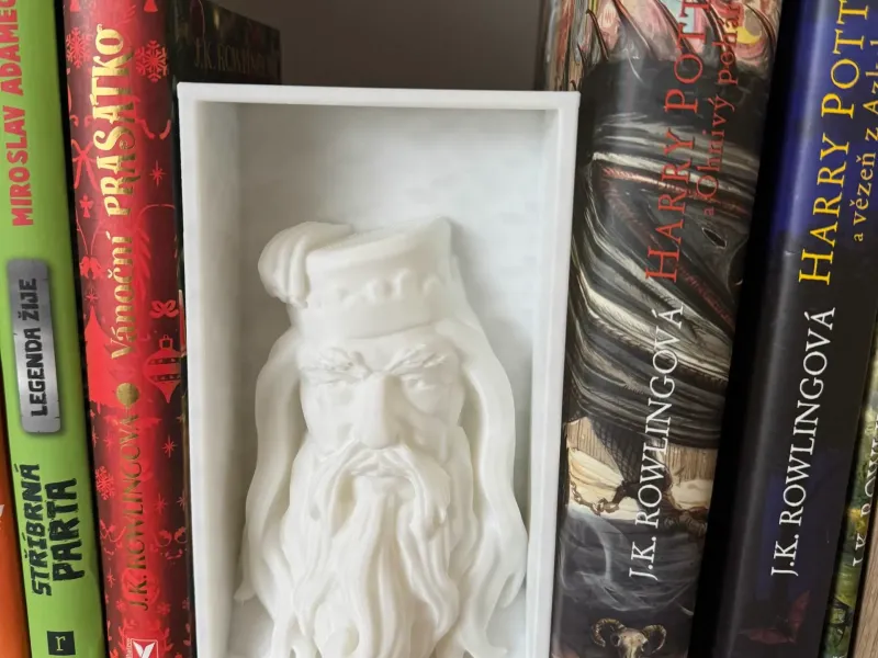 Dumbledor_Book_Nook