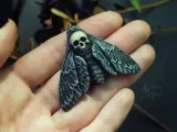 moth skull-0