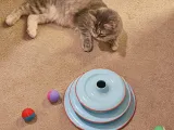 Easy Print Cat Balls! use up your extra scraps! only 13g per-2