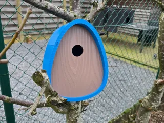 Birdhouse egg