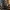 Fernbedienungshalterung Version Call of Duty Black Ops 7