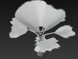 Tropische palme-1