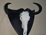 Skull Mount Shield-1