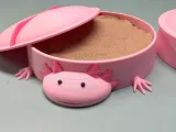 Axolotl Sandbox-6