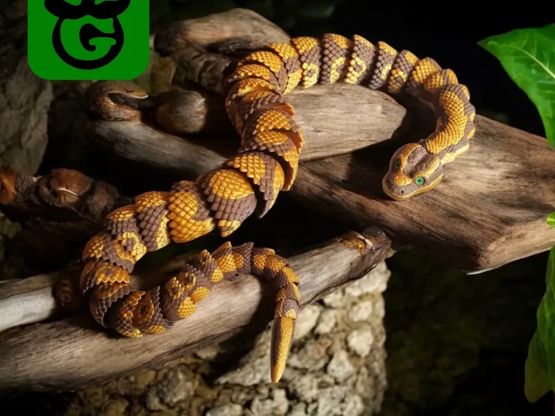 Python (Multicolor 3mf included)