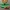 Piranha Plant Joycon Charge Upgrade Kit - Switch 1