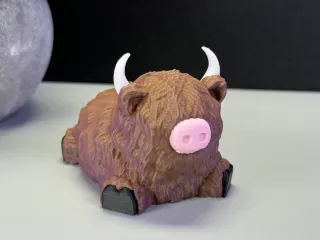 Cute Highland Cow