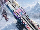 Ski Pole Clip - Updated with Titan Strap Option-0