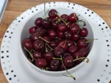 Мойка для винограда-7