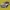 Renault Laguna III Front Left-Right Fender Trim 638750005R