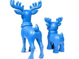 Reindeers-8
