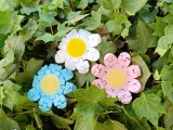 Flexi Daisy Flower-8
