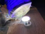 Dragon Head - Lamp - Headphone Holder-3