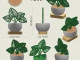 Decorative Plant-4
