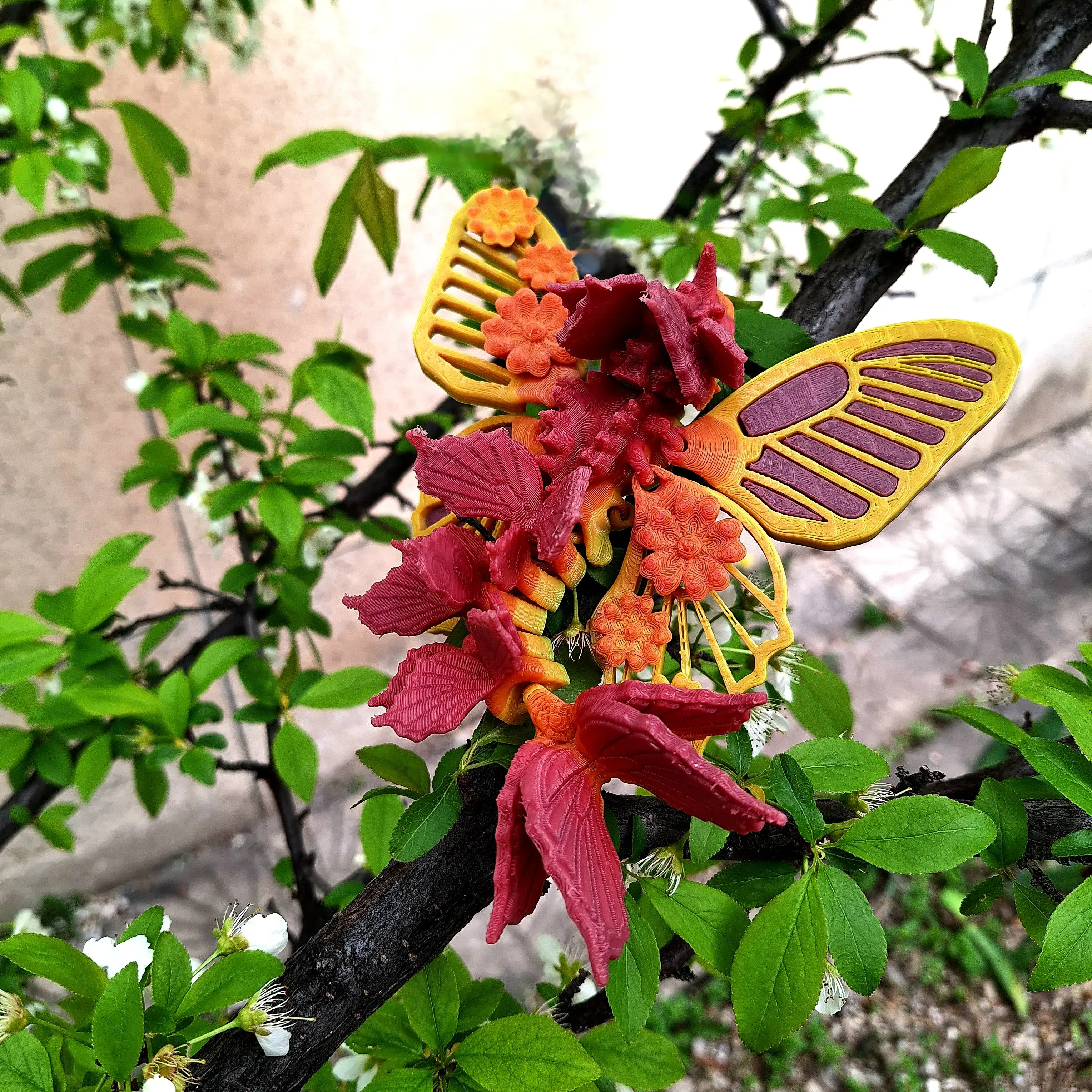 PAPILIO BUTTERFLY DRAGON! 🦋 🐉