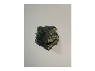 front dragon head