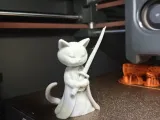 ⚔️ Master Cat with Sword-1
