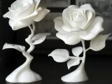 Rose-1