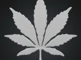 💨 Cannabis Leaf Coaster 💨-3