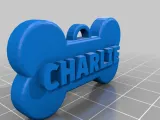 Pet Name Tag (45 names)-5