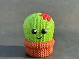 Cactus de punto-1