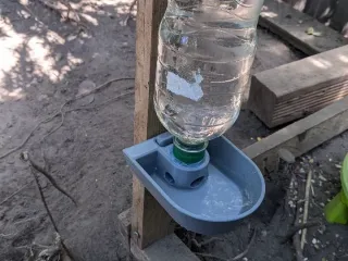 Chicken Water Dispenser 