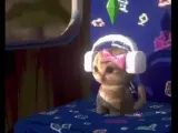 Sims Cat meme -2