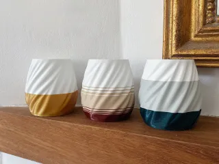 Plants cup