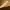 Crocodile Skull | Ultra Realistic
