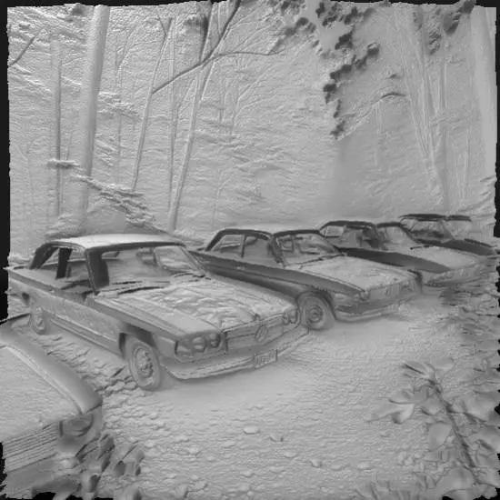 a group of cars in the forest