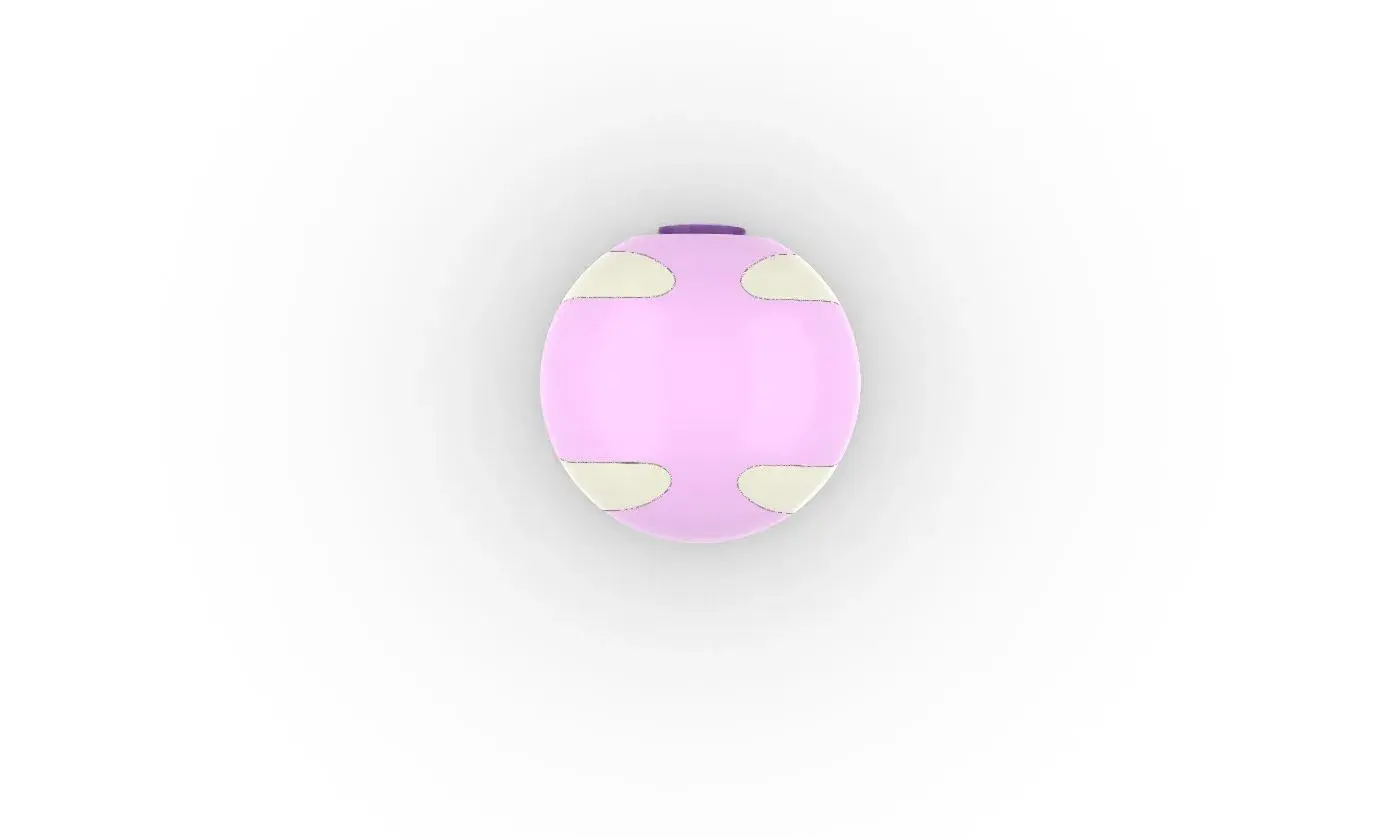 Bola de cura Pokeball