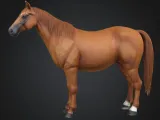 Horse-0