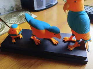 Bird Life Cycle – Three Stages