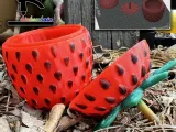 Strawberry-1