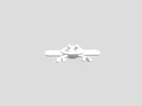 Crab-2