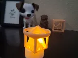 star light model-1