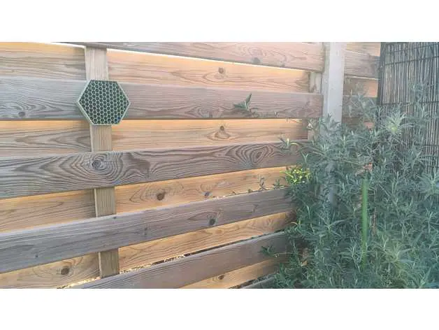 Bee Hive